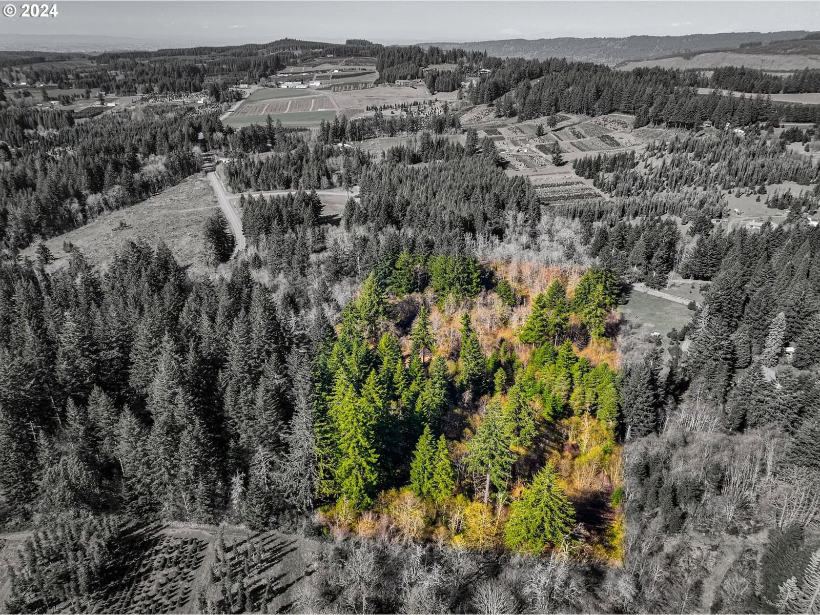 Primary listing photo, 19890 Sharon Tony WAY SE, Silverton, OR, 97381