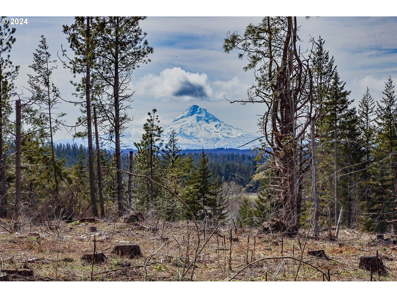 Primary listing photo, Lot 2 Plantation DR, White Salmon, WA, 98672