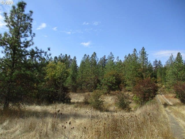Primary listing photo, 0000 Bellinger Scale RD, Lebanon, OR, 97355