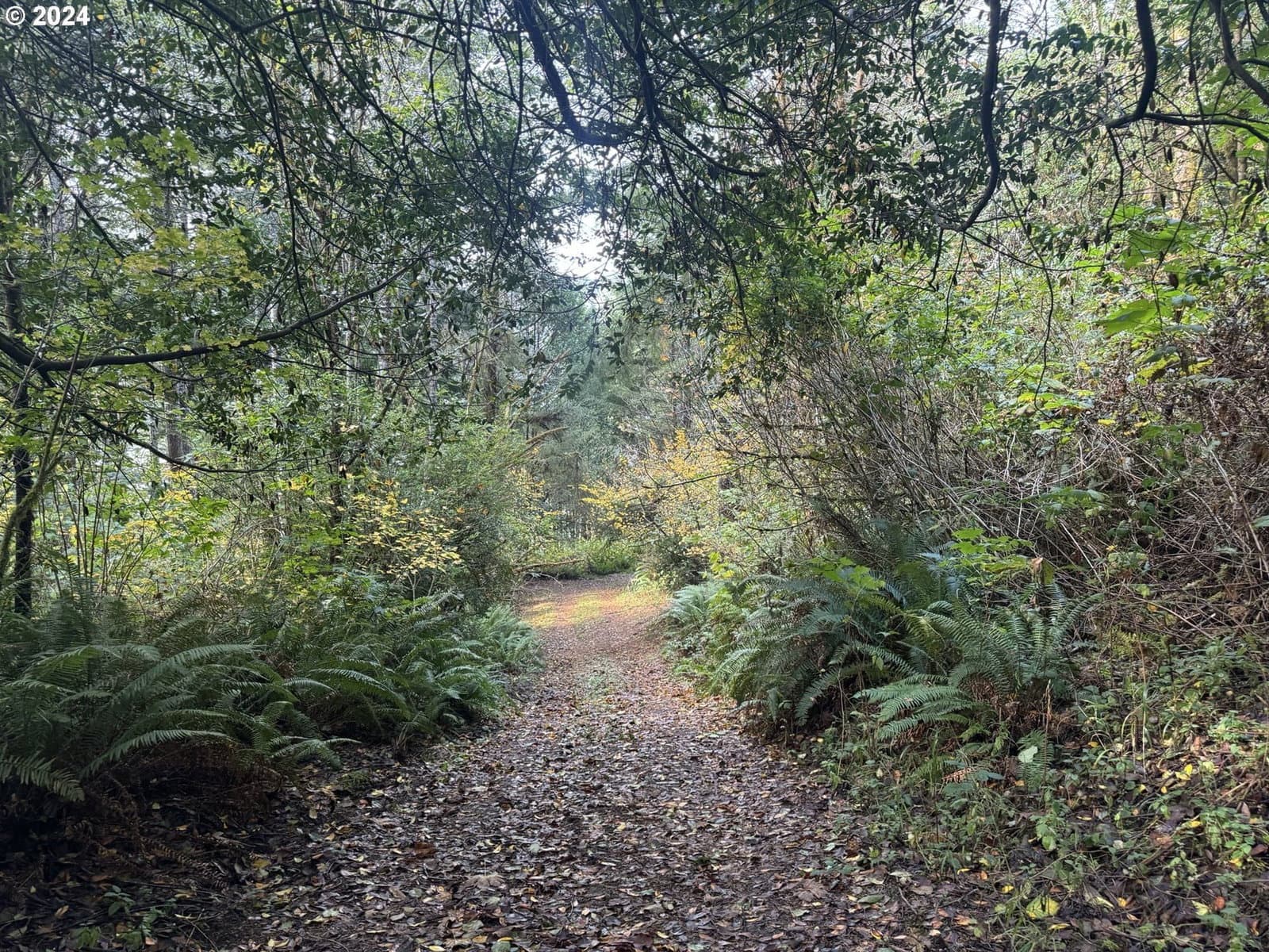 Primary listing photo, 1 POTATO BOTTOM RD #601, Lakeside, OR, 97449
