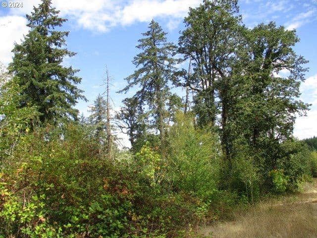 Primary listing photo, 00 Bellinger Scale (2) RD, Lebanon, OR, 97355