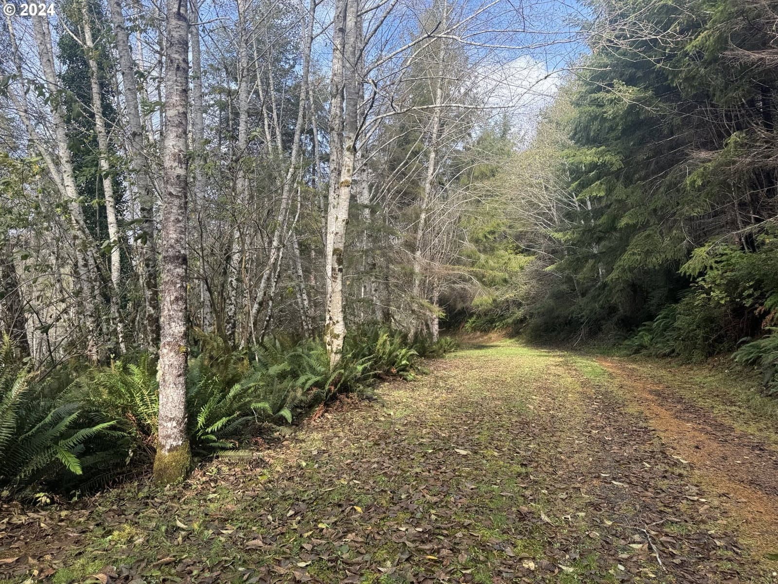 Primary listing photo, 0 POTATO BOTTOM RD #603, Lakeside, OR, 97449