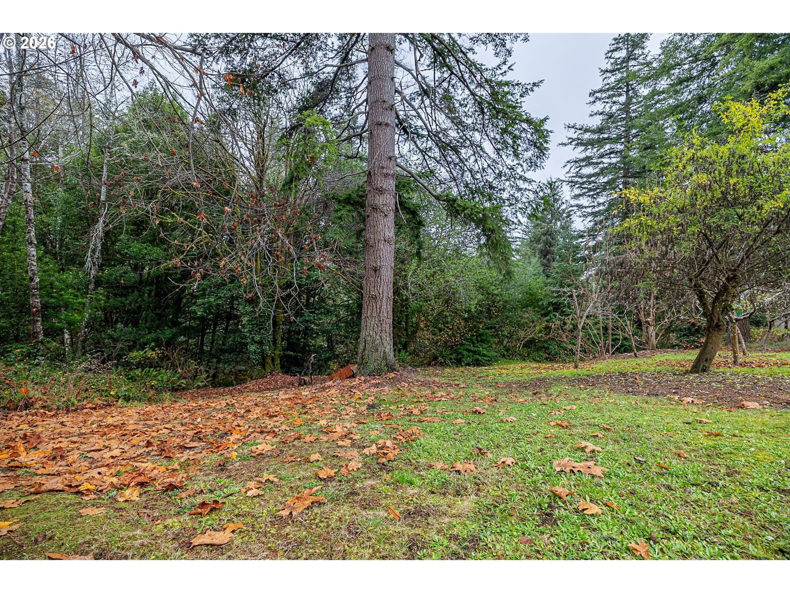Primary listing photo, 00 E 15th ST, Coquille, OR, 97423