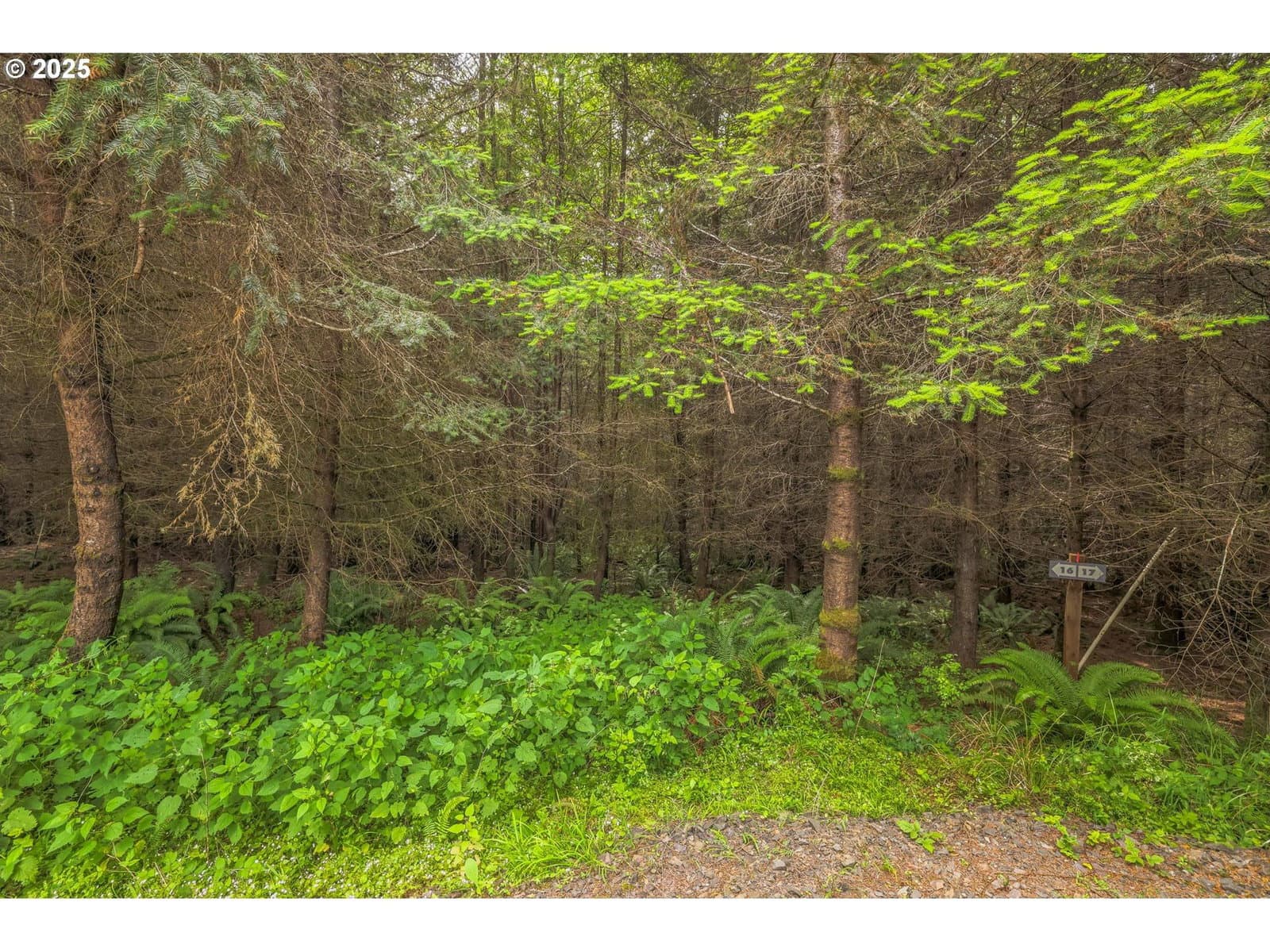 Primary listing photo, Grand Rdg RD #Lot 16, Toutle, WA, 98649