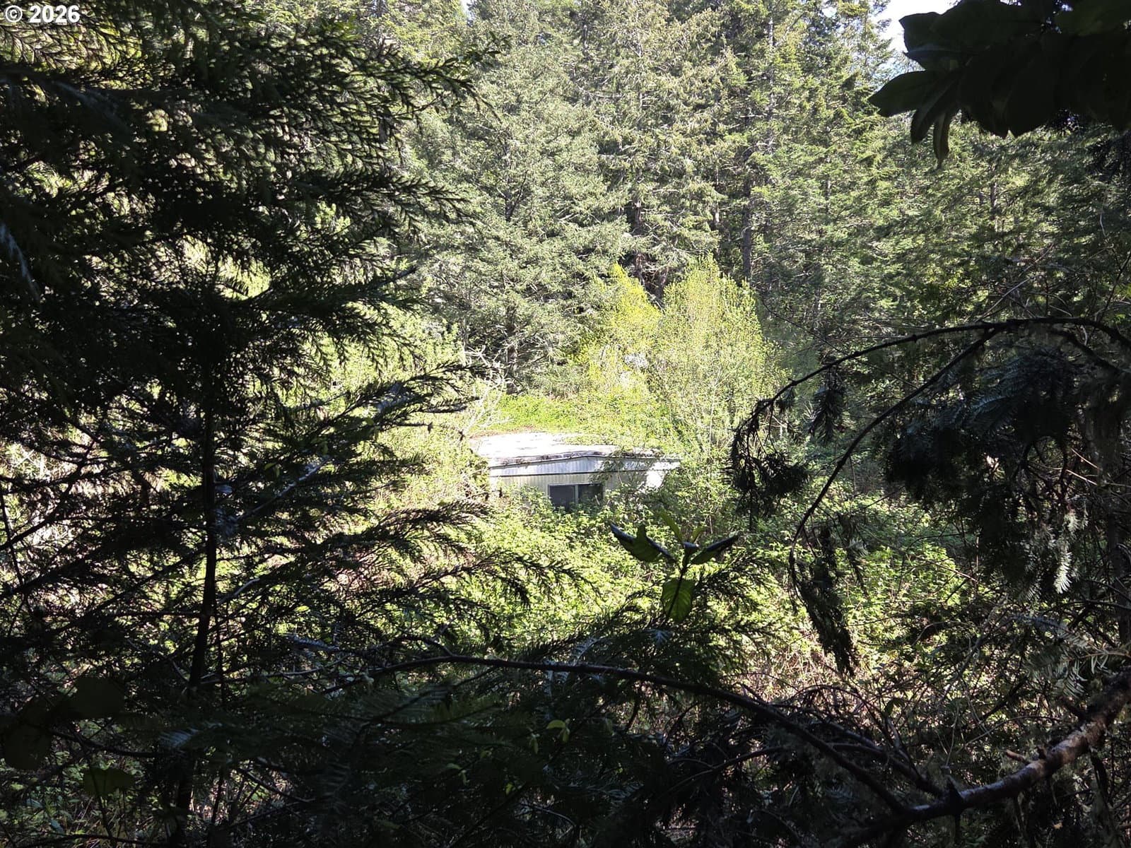 Primary listing photo, 96113 EUCHRE CREEK RD, Gold Beach, OR, 97444