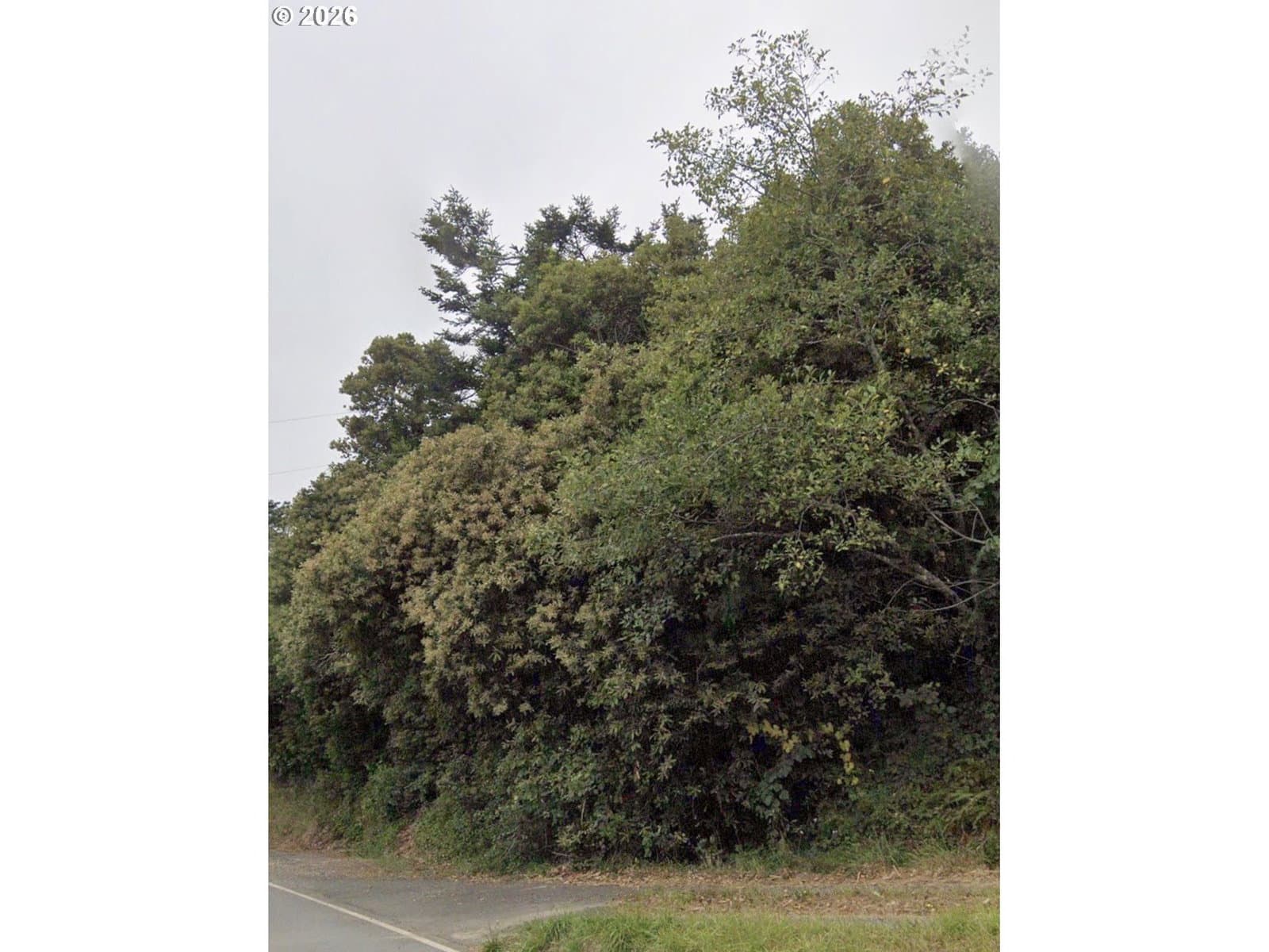 Primary listing photo, HILLSIDE ACRES RD, Gold Beach, OR, 97444