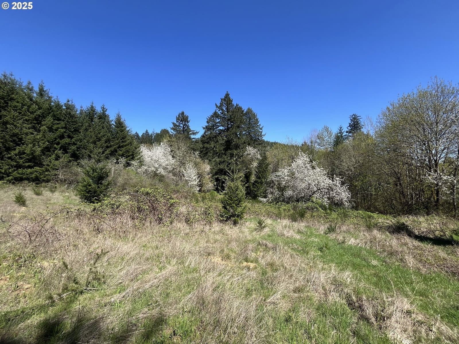Primary listing photo, DAVID HILL RD, Forest Grove, OR, 97116