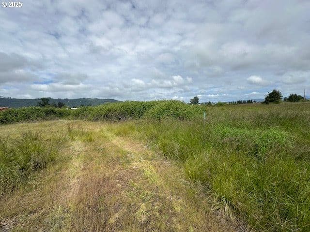 Primary listing photo, 1 Springer ST #1-4, Cathlamet, WA, 98612