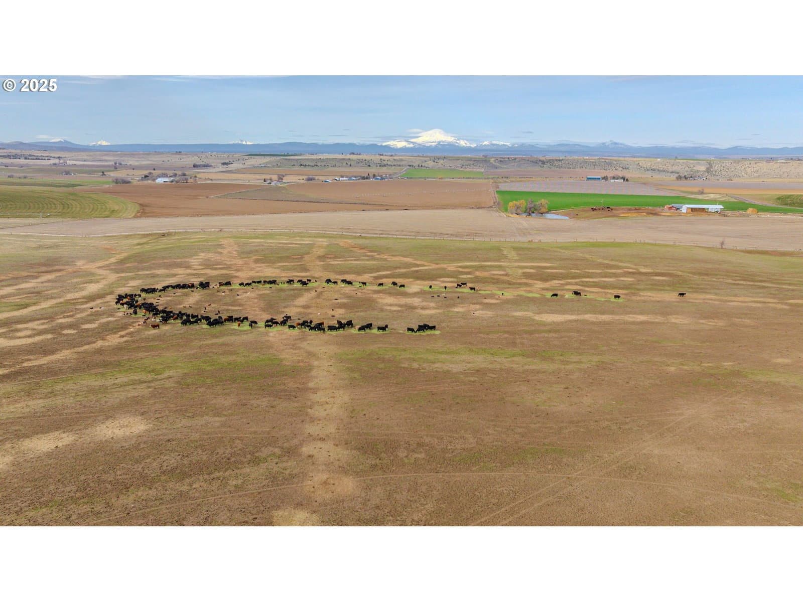 Primary listing photo, 0 HIGHWAY 97, Madras, OR, 97741