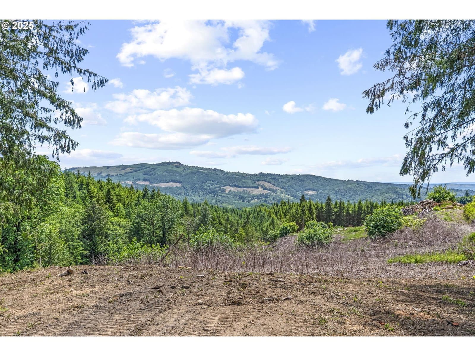 Primary listing photo, 1899 MOUNT PLEASANT RD, Kelso, WA, 98626