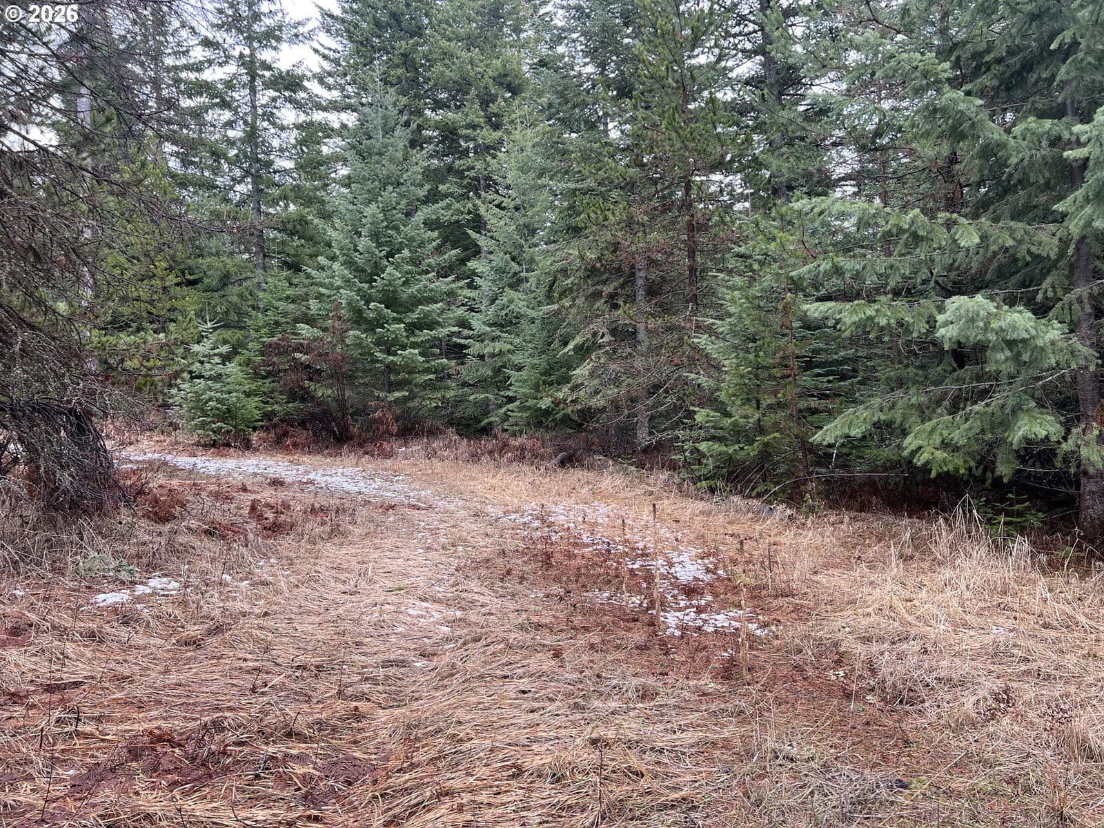 Primary listing photo, 0 Highway 204, Weston, OR, 97886