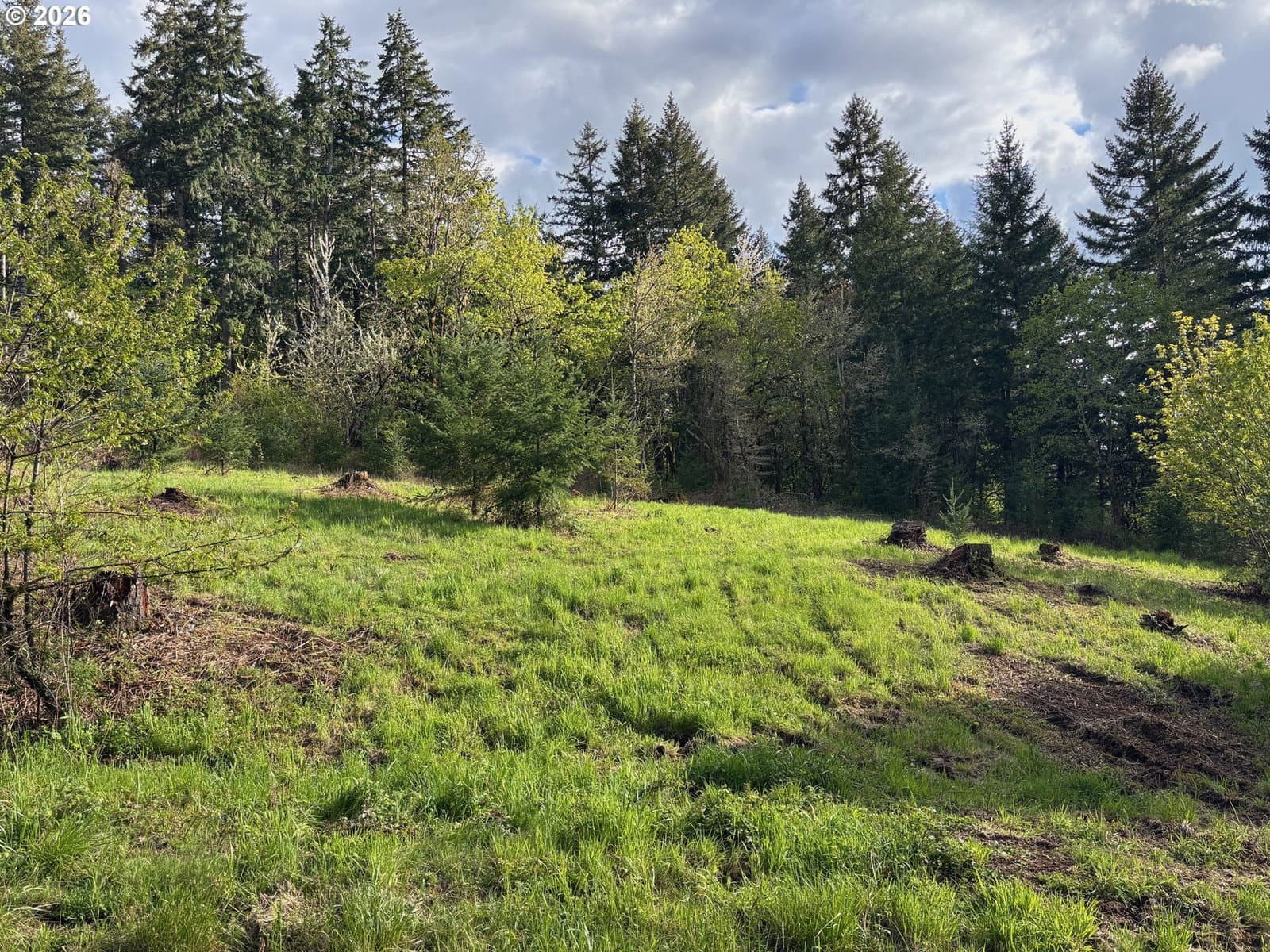 Primary listing photo, 0 Kings Ridge RD #580533, Dallas, OR, 97338