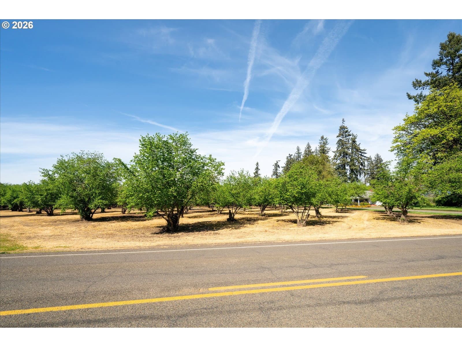 Listing photo 1 of 6