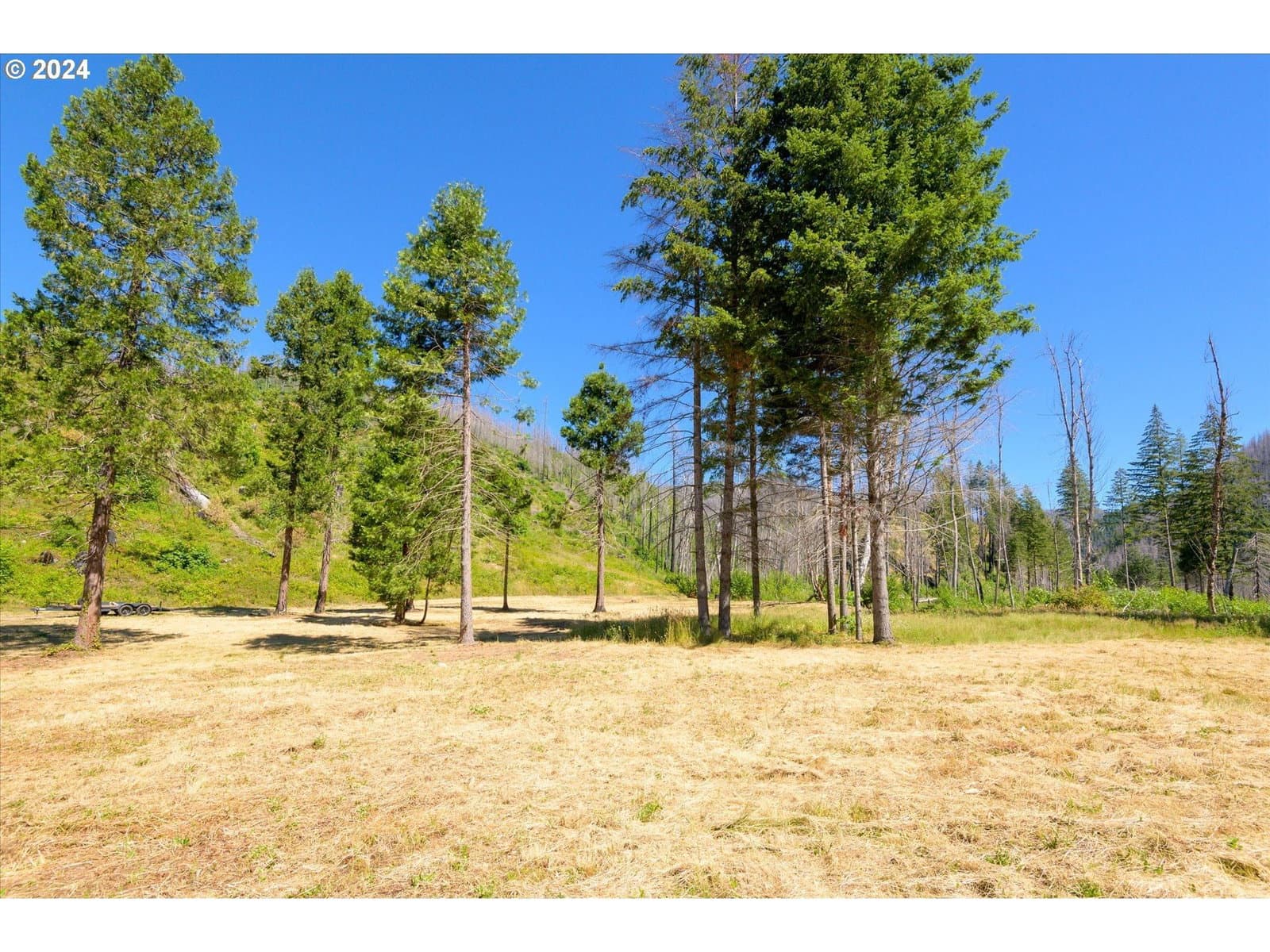 Primary listing photo, Blue River Rd, Eugene, OR, 97401
