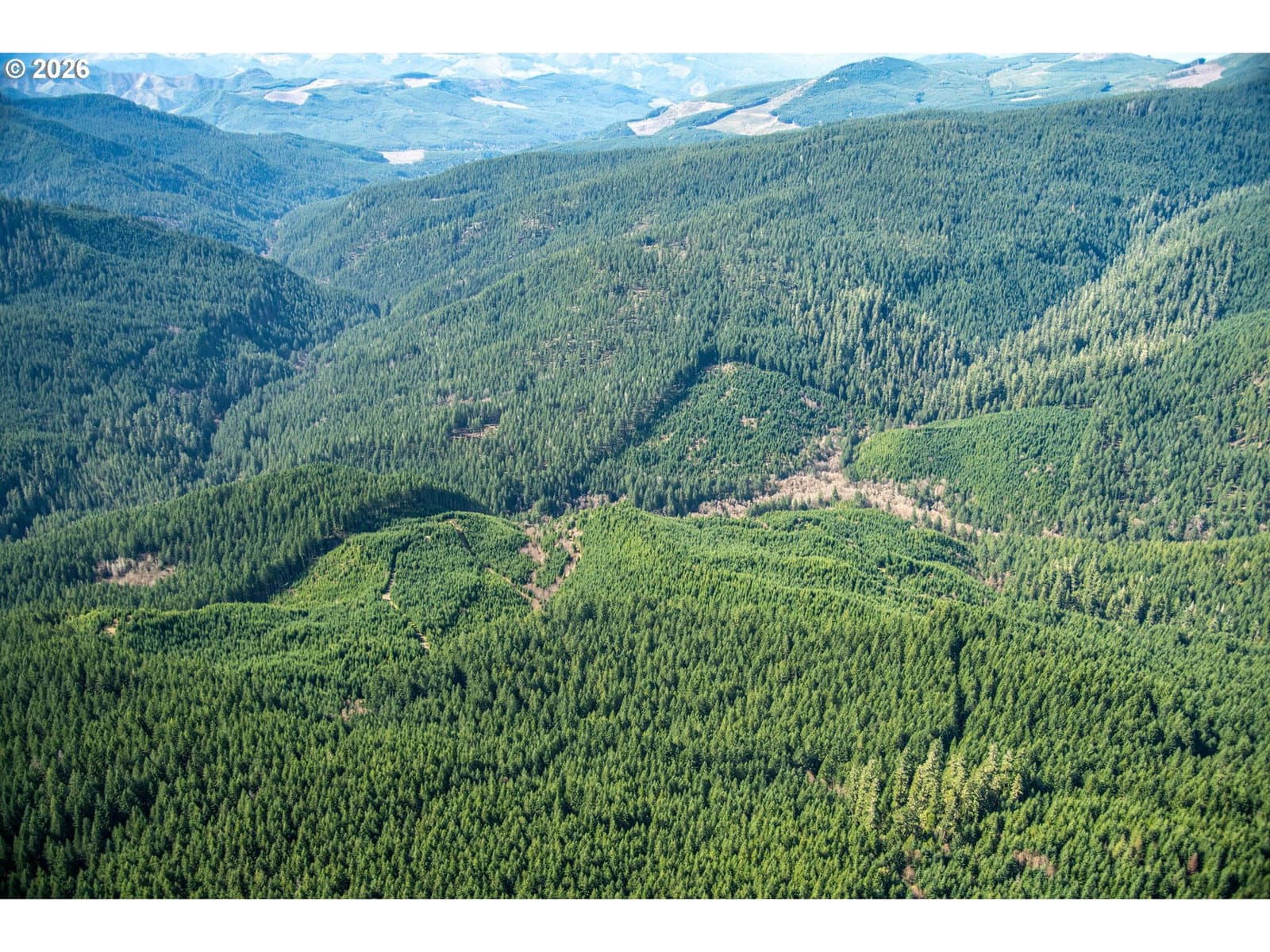 Primary listing photo, USFS 71 RD, Culp Creek, OR, 97434