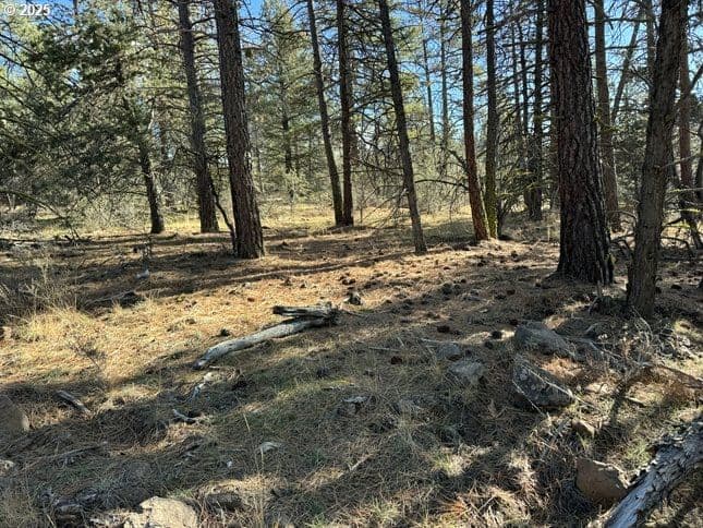 Primary listing photo, Bunting Drive #31, Bonanza, OR, 97623