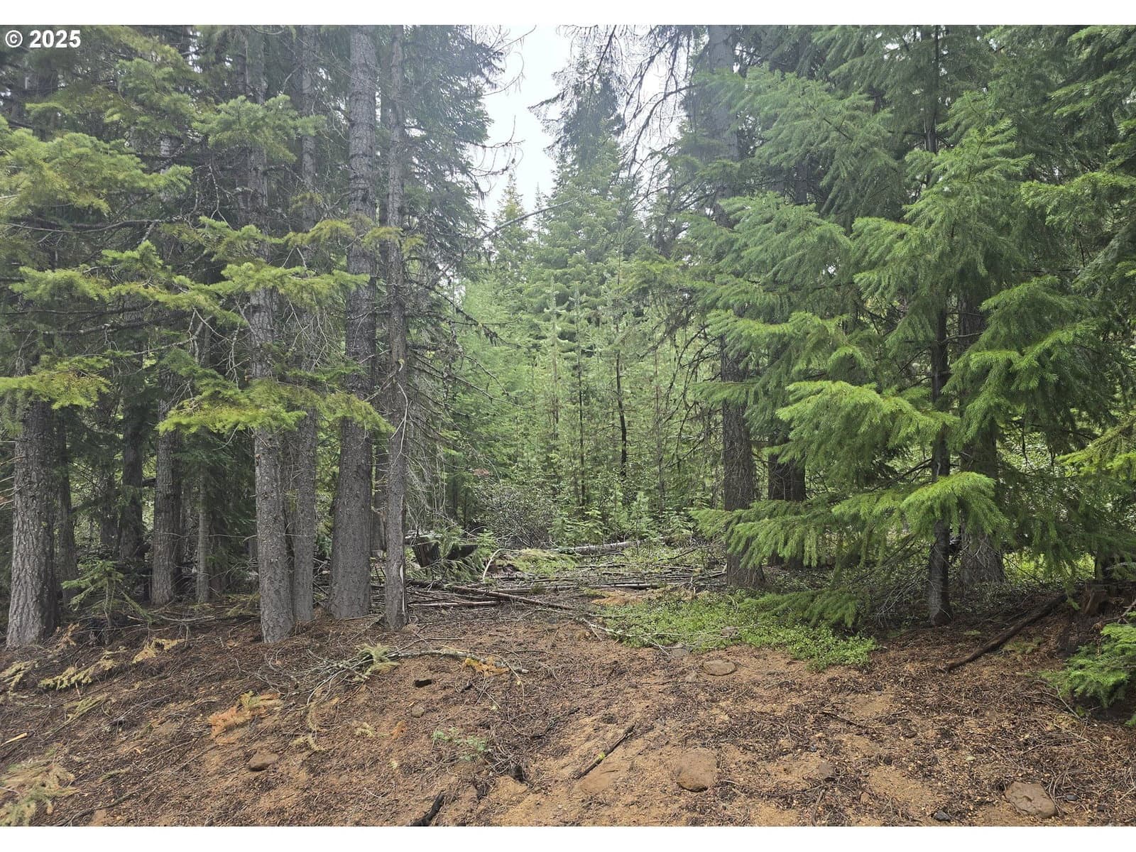 Primary listing photo, 4 Royce Pine, Crescent Lake, OR, 97733
