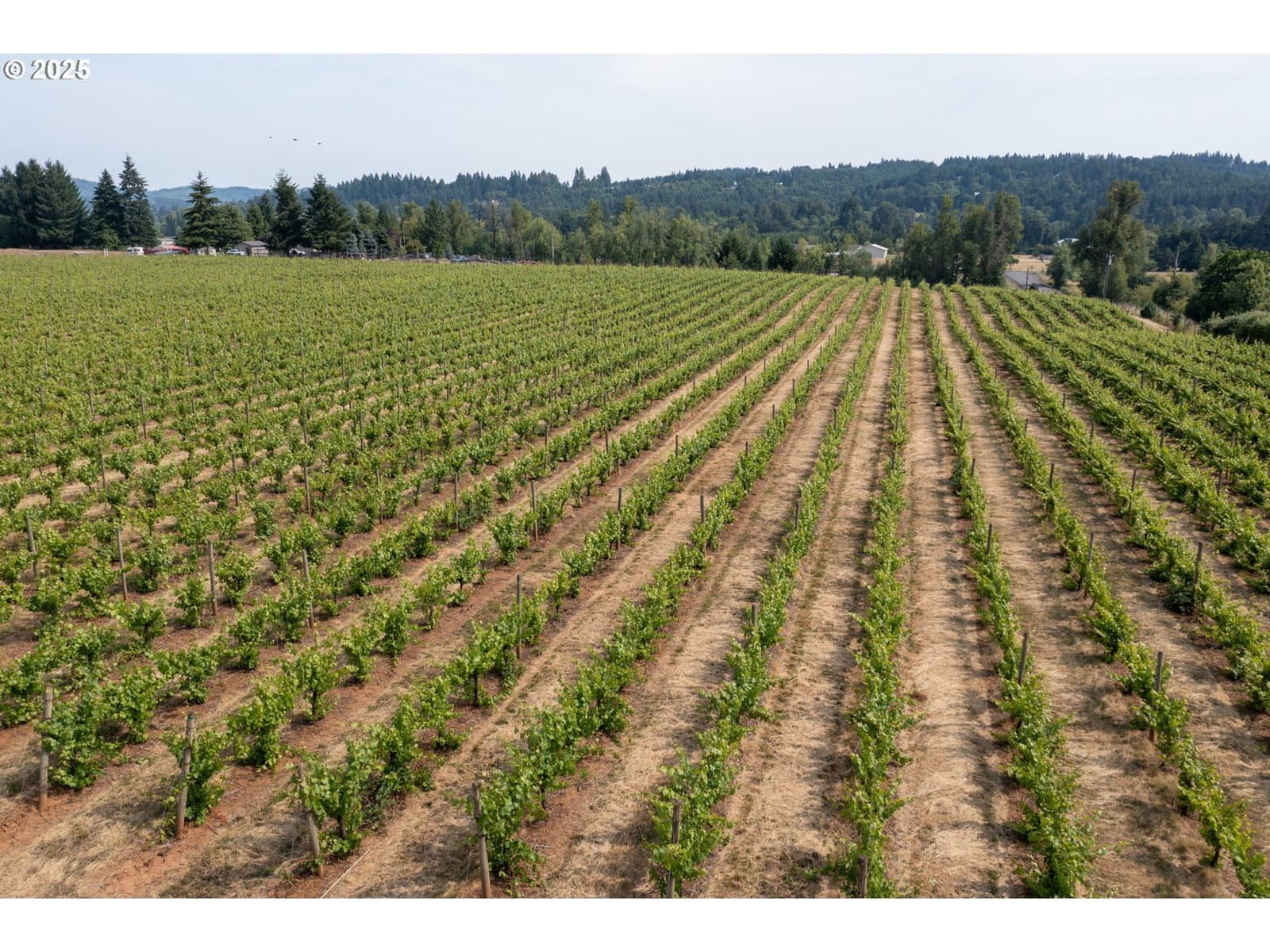 Primary listing photo, 0 Pioneer RD, Dallas, OR, 97338