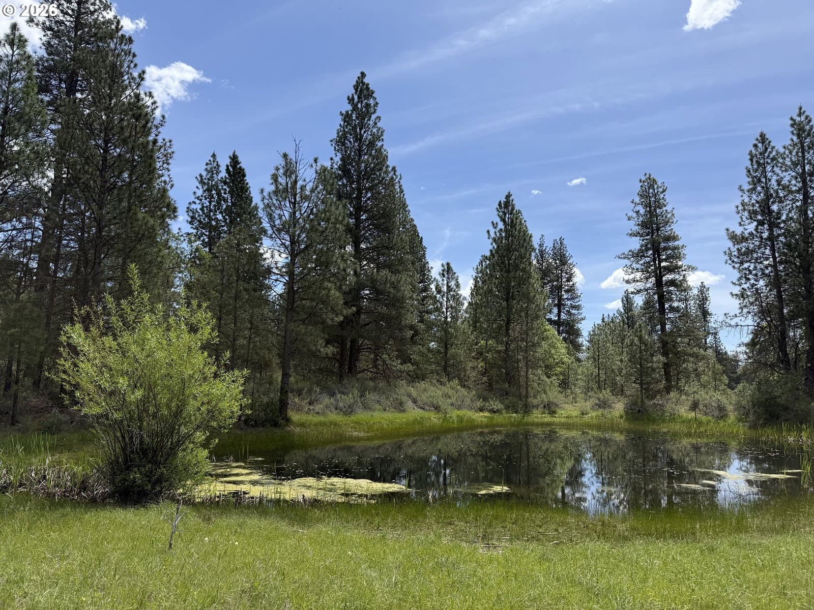Primary listing photo, Old Mountain Rd., Goldendale, WA, 98620