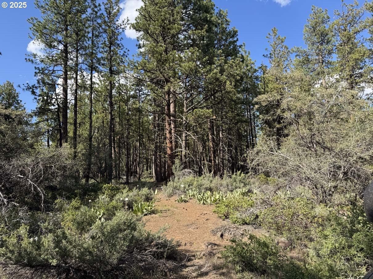 Primary listing photo, Thunder Bear Road #46, Bonanza, OR, 97623