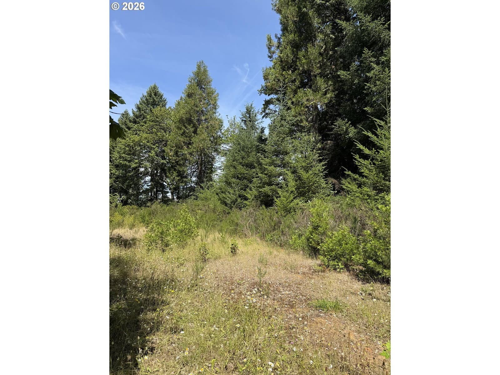 Primary listing photo, 0 Milky Way DR, Drain, OR, 97435