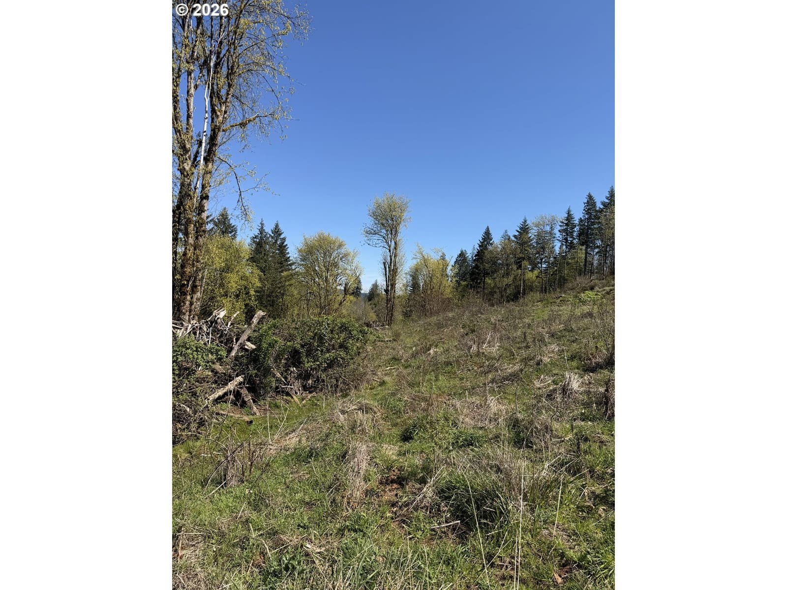 Primary listing photo, NW Hilltop PL, Banks, OR, 97106