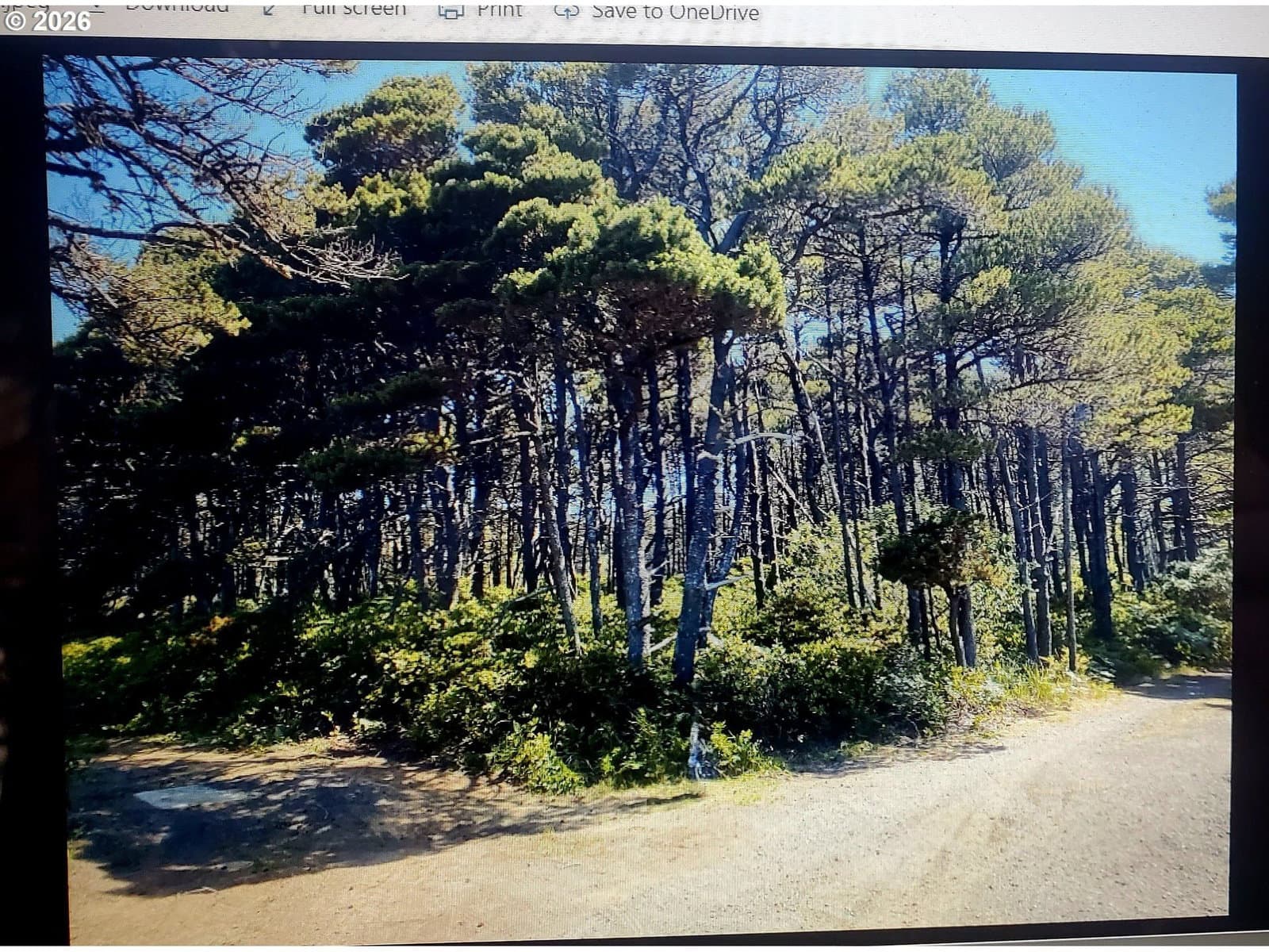 Listing photo 1 of 3