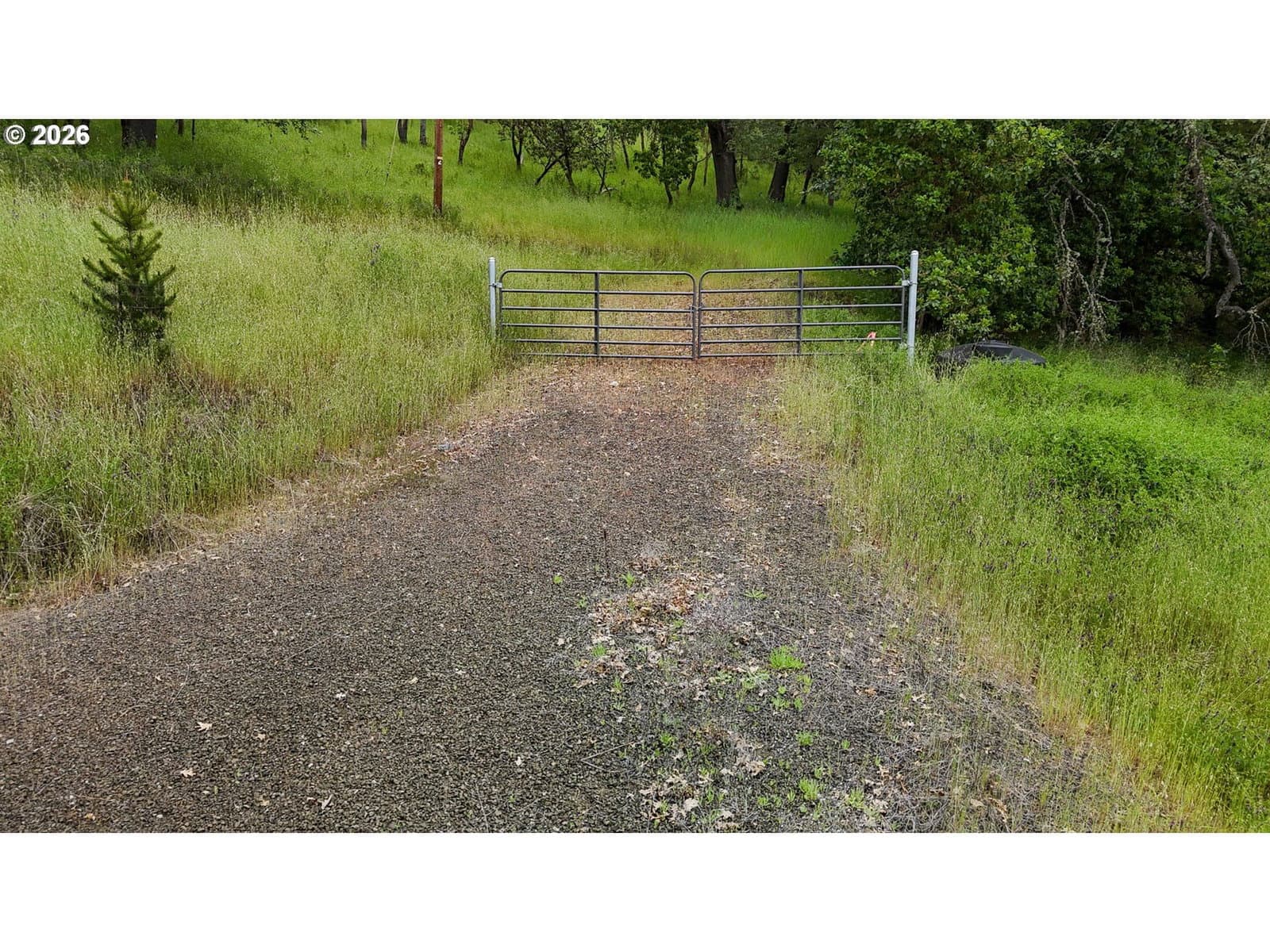 Listing photo 1 of 6