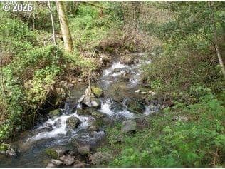 Primary listing photo, 460 NW KANAKA CREEK RD, Stevenson, WA, 98648