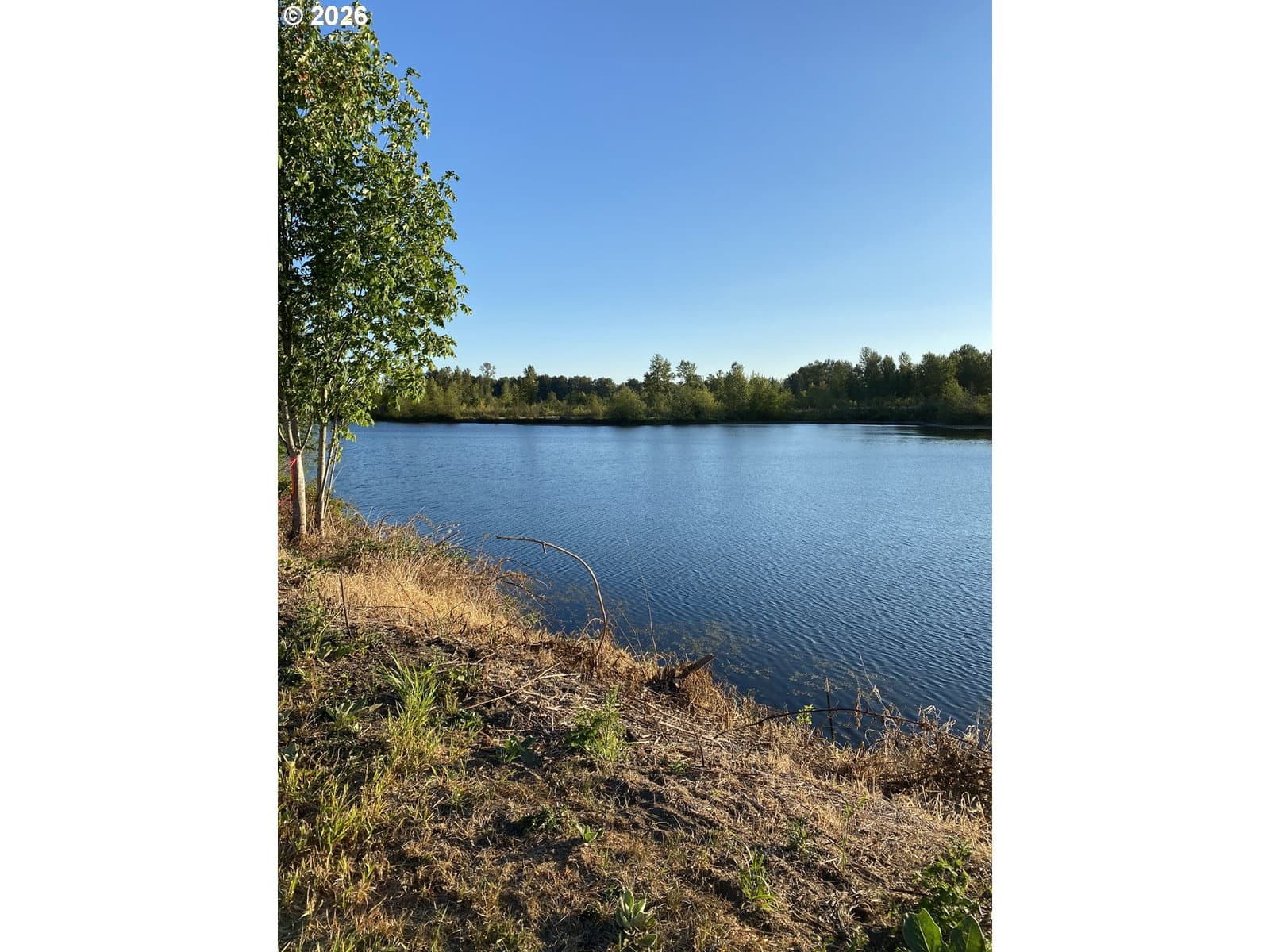 Primary listing photo, 243 COLLINS RD, Toledo, WA, 98591