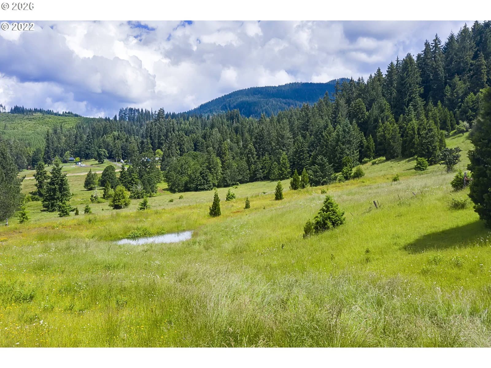 Primary listing photo, Bugle LOOP #TL 1306, Oakridge, OR, 97463