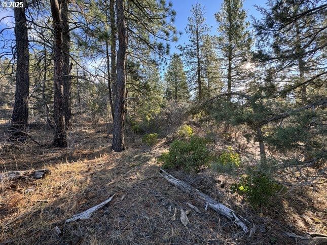 Primary listing photo, Hummingbird DR #13, Bonanza, OR, 97623