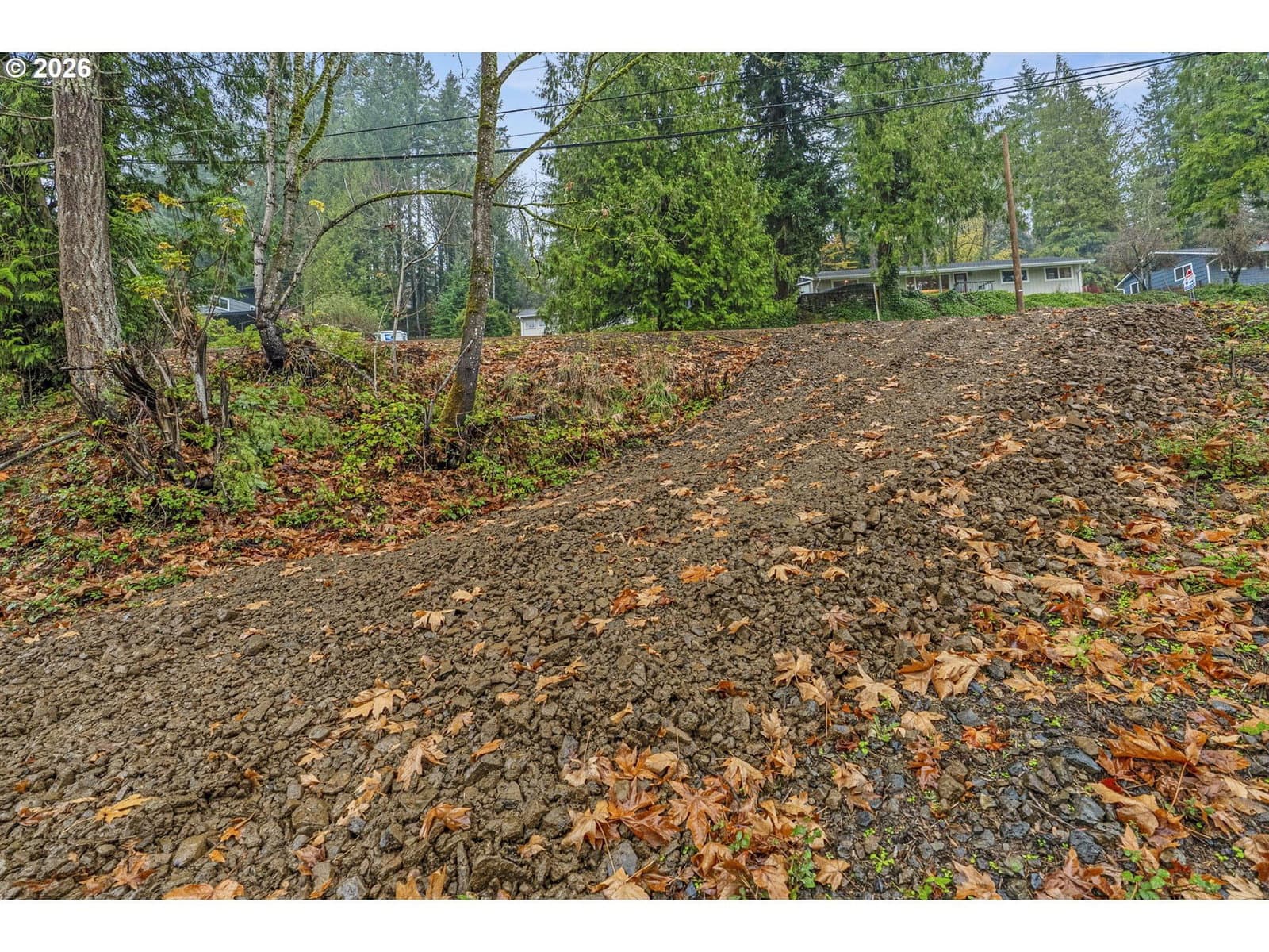 Primary listing photo, 4043 SUNSET WAY, Longview, WA, 98632