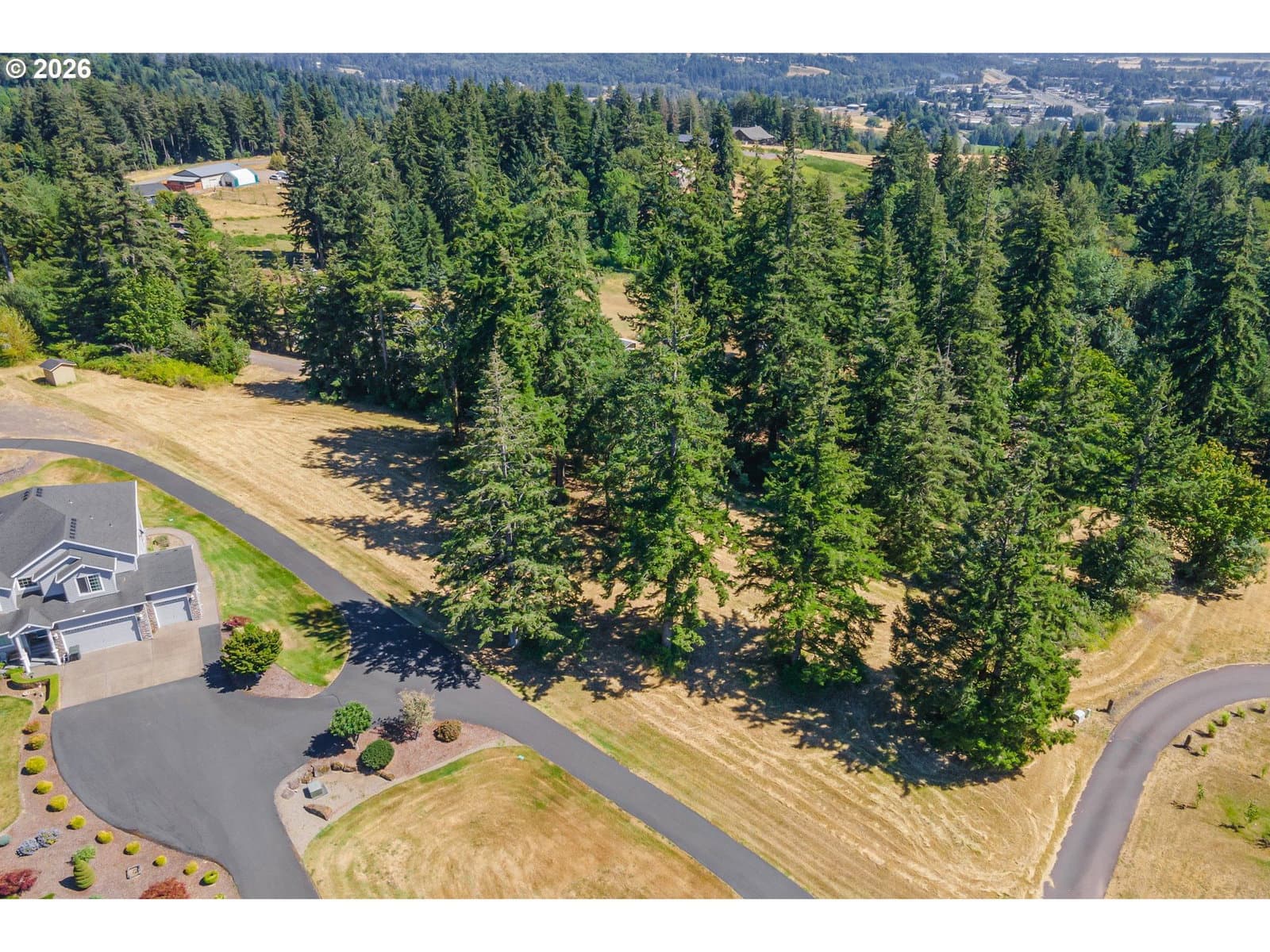Primary listing photo, 165 SATURN AVE, Woodland, WA, 98674