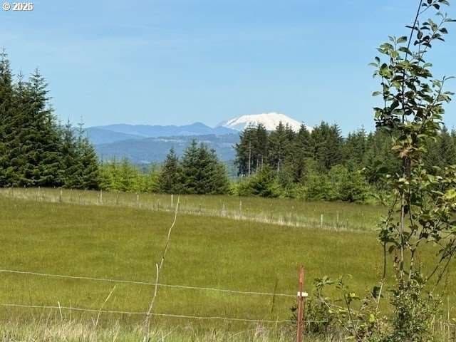 Primary listing photo, 65748 MEISSNER RD, Deer Island, OR, 97054