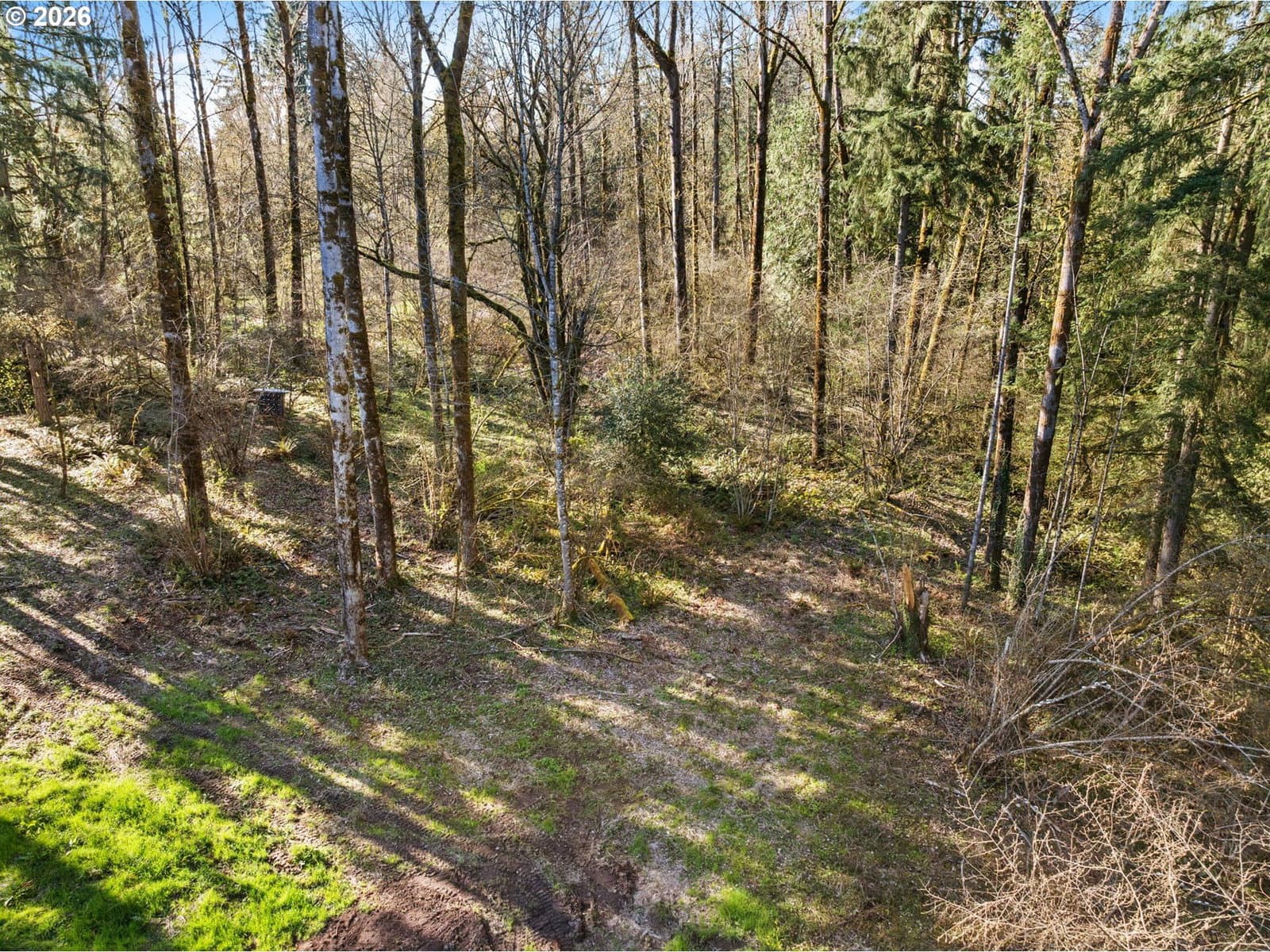 Primary listing photo, NE Sumac CT, Brush Prairie, WA, 98606