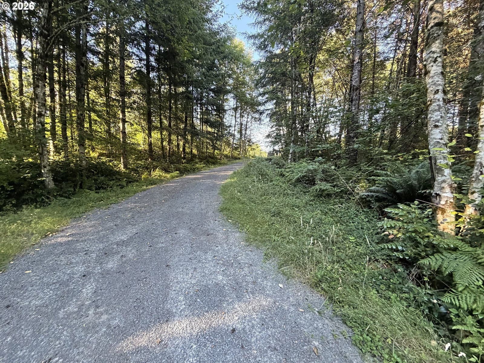 Primary listing photo, 217 HAM RD, Amboy, WA, 98601
