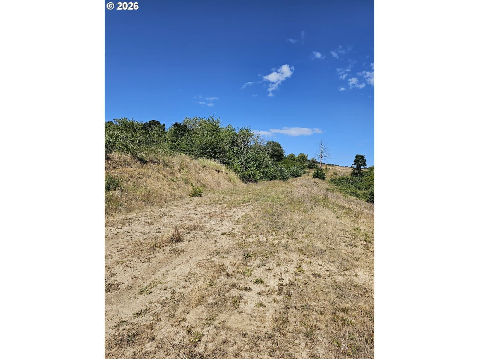 Primary listing photo, SW Hardebeck RD, Gaston, OR, 97119
