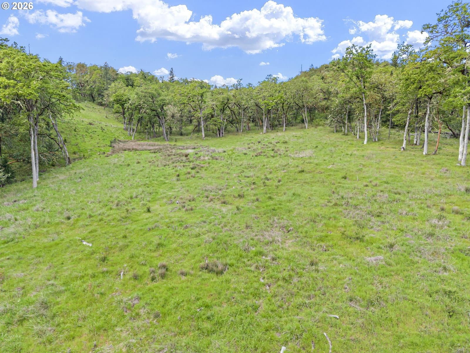 Primary listing photo, 881 SOUTHRIDGE WAY, Roseburg, OR, 97470