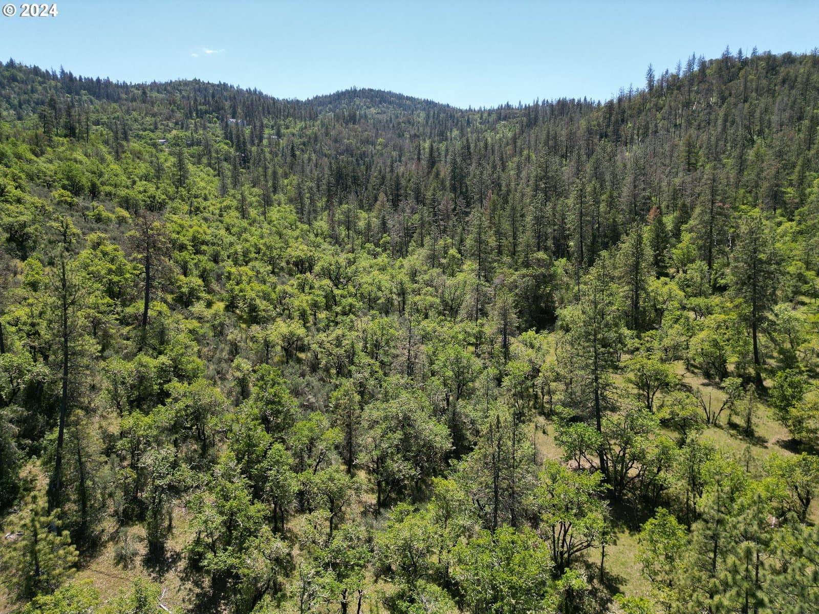 Listing photo 1 of 1