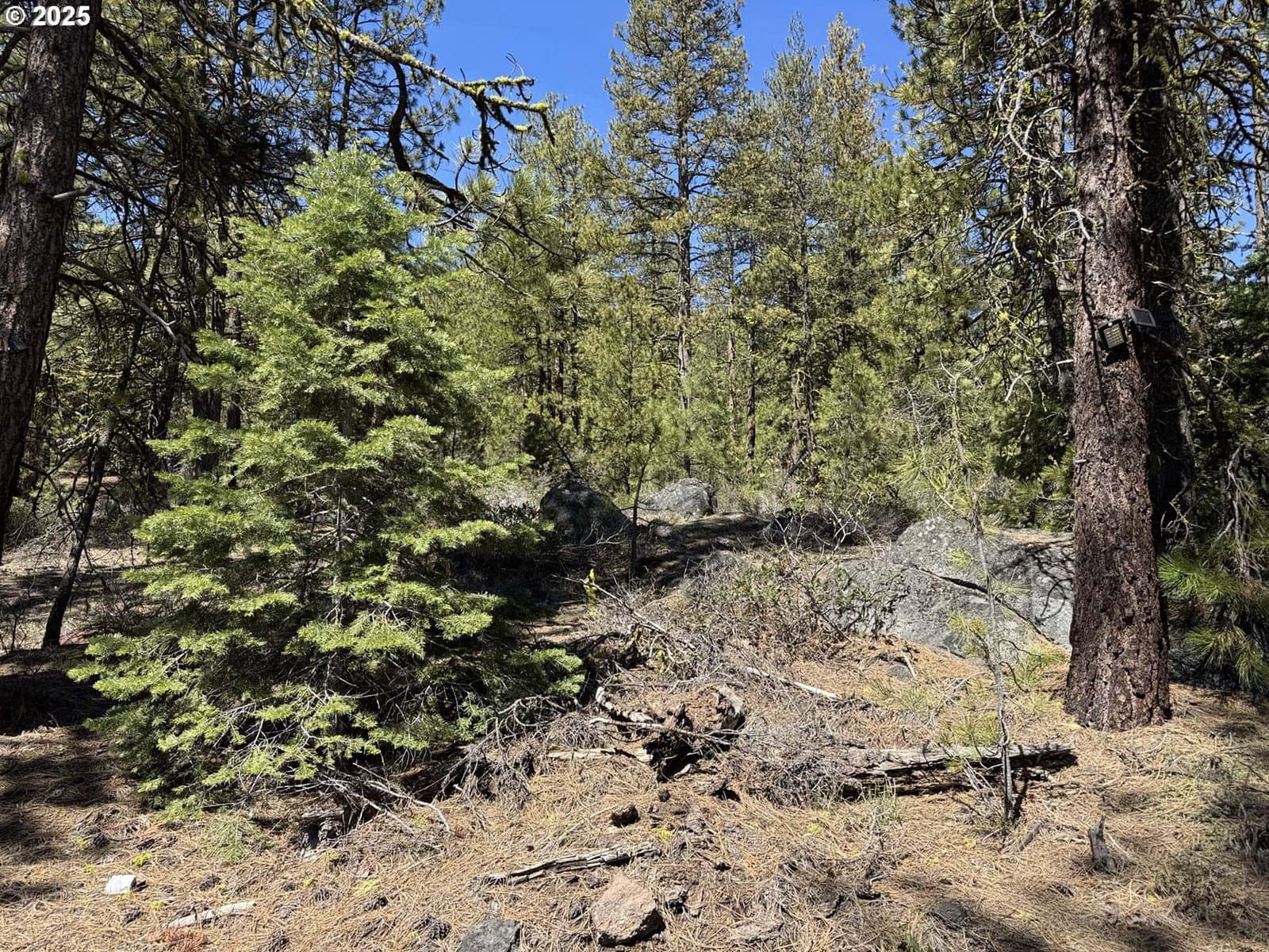 Primary listing photo, Horned Owl LN #Lot 34, Bonanza, OR, 97623
