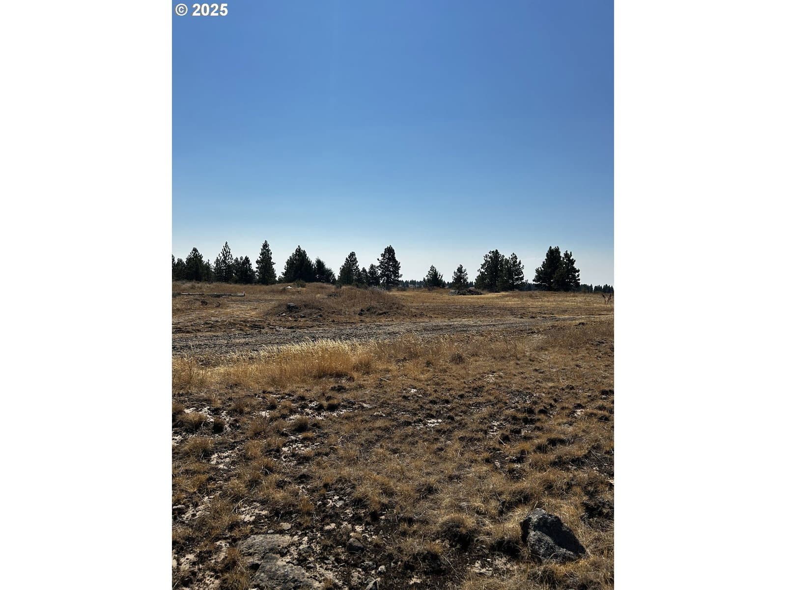 Primary listing photo, BLK 23 Bickleton HWY, Roosevelt, WA, 99356