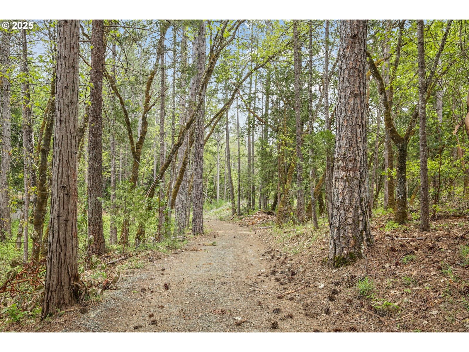 Primary listing photo, REDWOOD HWY, Grants Pass, OR, 97527