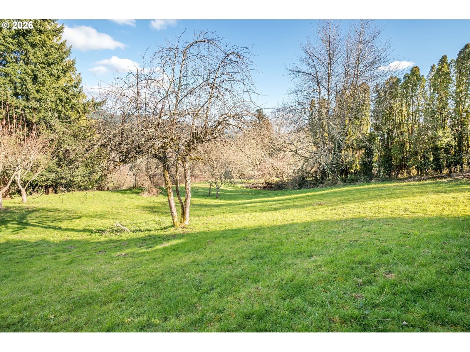 Primary listing photo, 2411 Sunrise ST, Kelso, WA, 98626