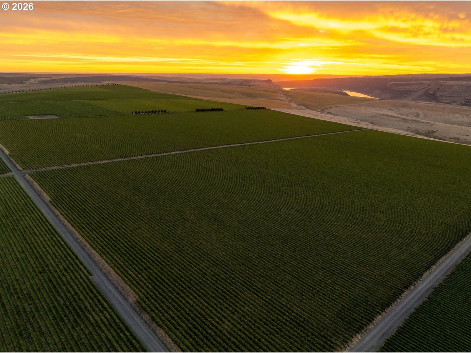 Primary listing photo, S Finley RD, Kennewick, WA, 99337