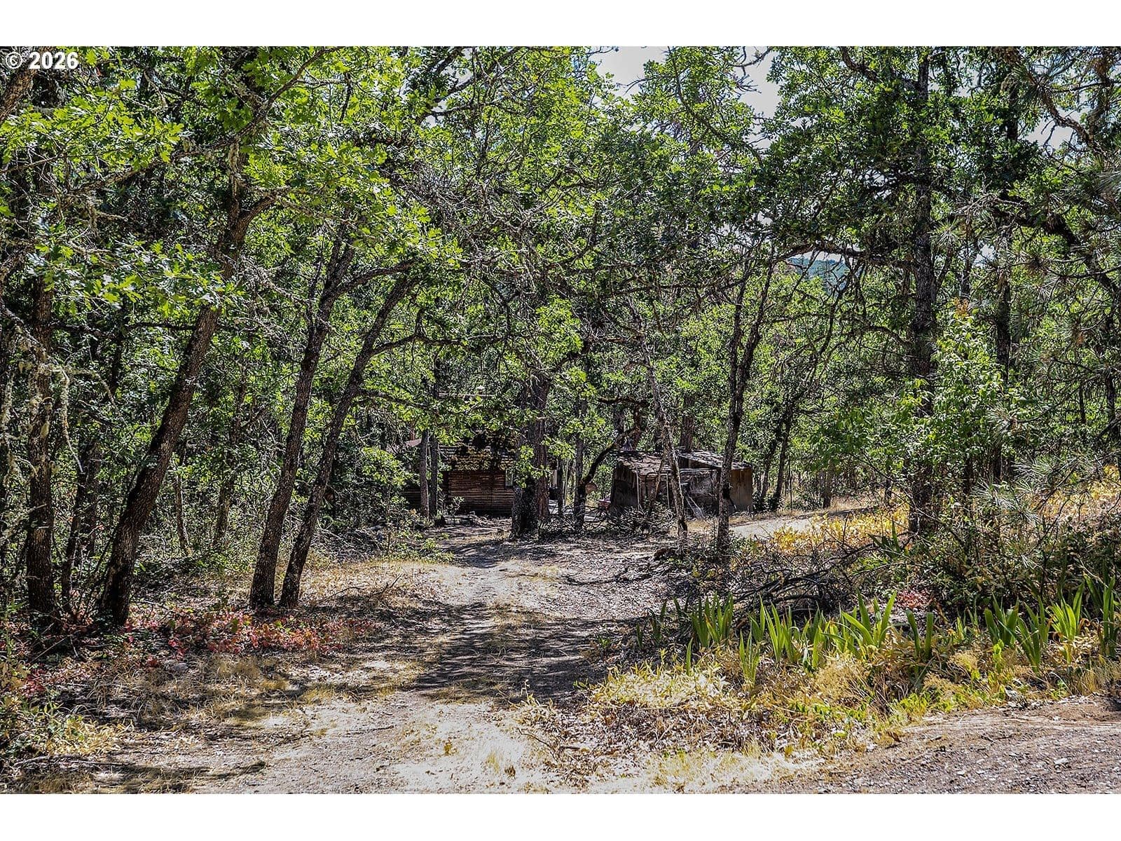 Primary listing photo, 2300 DRY CREEK RD, Mosier, OR, 97040