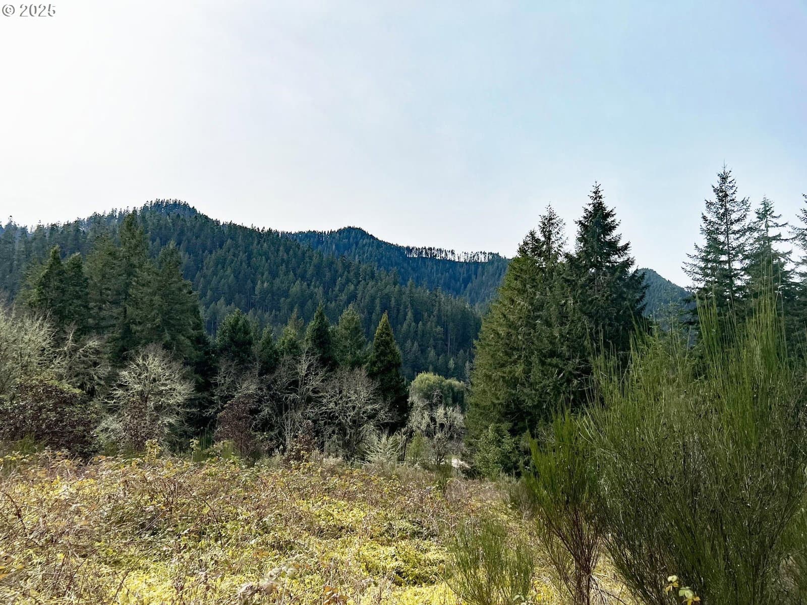 Primary listing photo, STATE HIGHWAY 138, Oakland, OR, 97462