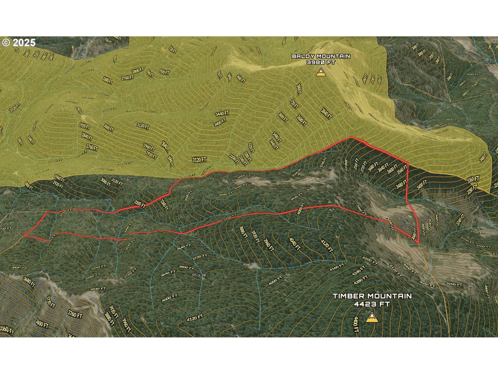 Listing photo 1 of 1