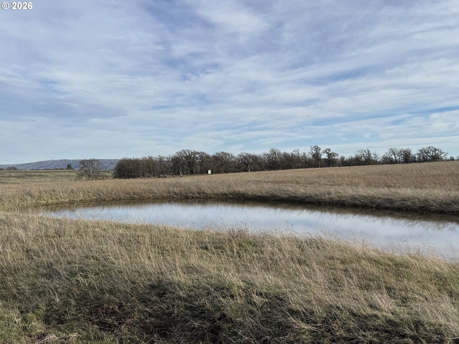 Primary listing photo, WOODLAND RD, Goldendale, WA, 98620
