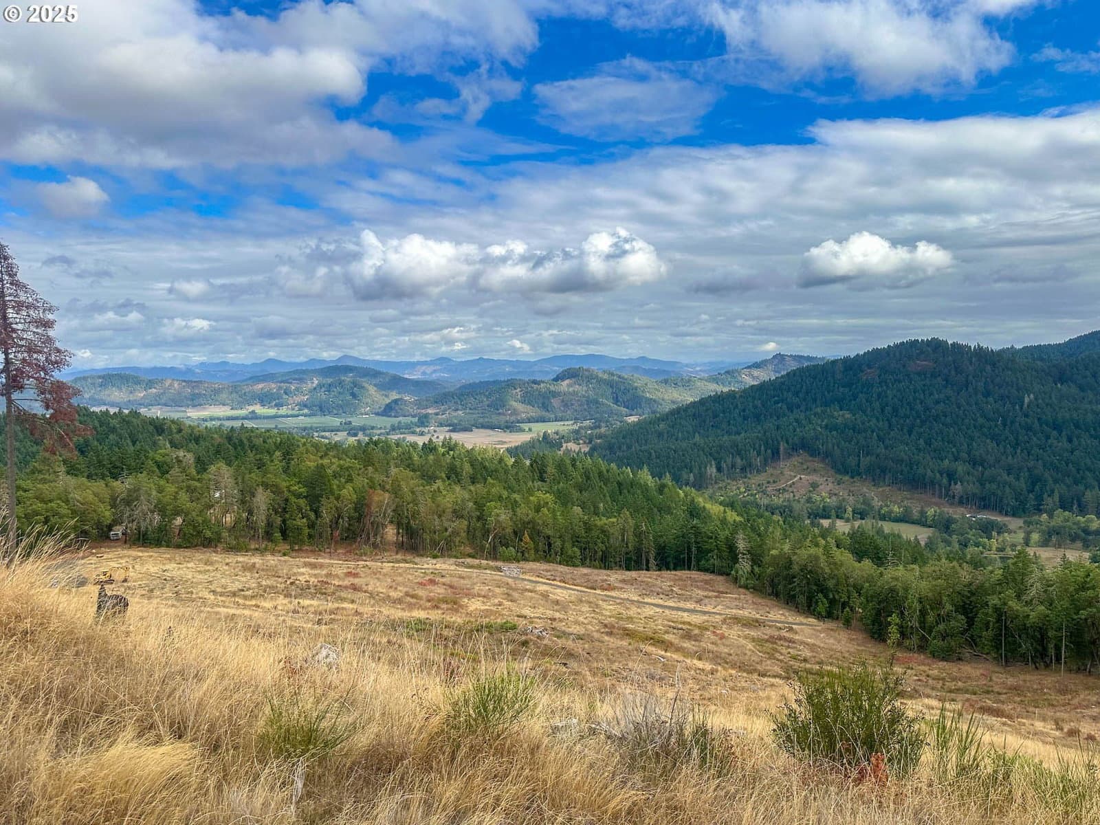 Primary listing photo, 584 BUZZ MOUNTAIN LN, Roseburg, OR, 97471